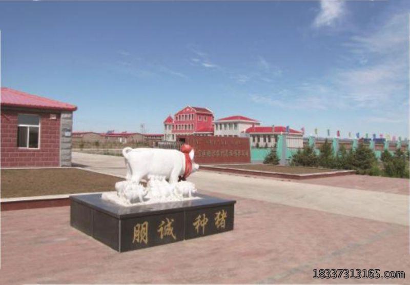 内蒙古朋诚种猪场